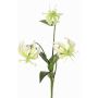 Flor decorativa Gloriosa XELA, blanco-verde, 50cm, Ø4-7cm