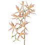 Orquídea Brassia artificial ORELA, blanco-rojo, 90cm