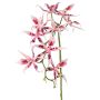 Orquídea Brassia artificial ORELA, rosa-fucsia, 90cm
