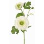 Rama artificial ranúnculo SAGARA, blanco-verde, 45cm, Ø5-9cm