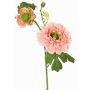 Rama artificial ranúnculo SAGARA, rosa-verde, 45cm, Ø5-9cm