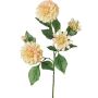 Rama decorativa de dalia artificial QUINKA, rosa crema, 70 cm