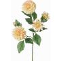 Rama decorativa de dalia artificial QUINKA, crema-rosa, 70cm