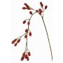 Rama decorativa de mora URUMA con frutos, roja, 100cm