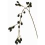Rama decorativa de mora URUMA con frutos, negra, 100cm