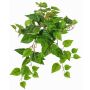 Planta decorativa de hiedra colgante SHELLEY en varilla, Eco Collection, verde, 55cm
