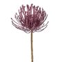 Flor artificial Protea ZIRMO, lila, 50 cm