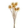 Ramo decorativo de cardos esféricos DRAVLE, dorado, 45 cm