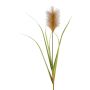 Decoración de pampas JIRZA, varilla, marrón, 105cm