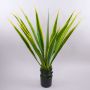 Agave artificial CHERIE, verde-amarillo, 110cm