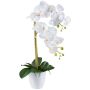 Flor decorativa Phalaenopsis orquídea BLENTOR en maceta de melamina, raíces, blanco, 55 cm