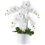Flor decorativa Phalaenopsis TOUNI, maceta de cerámica, raíces, blanca, 60 cm