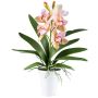 Orquídea Cymbidium BLORKE de tela en maceta de melamina, raíces, verde-rosa, 55cm
