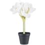 Flor decorativa amarilis PRIFT en maceta decorativa, blanca, 30 cm