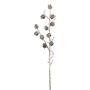 Rama decorativa de alerce BORIKA con piñas, congelada, blanco y marrón, 85 cm