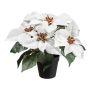 Flor artificial Poinsettia FRIZO en maceta decorativa, blanca, 26cm