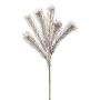 Rama decorativa Protea ZANLI, congelada, gris, 50 cm