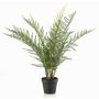 Planta artificial helecho espada LOWTAN en maceta decorativa, crossdoor, verde, 65 cm