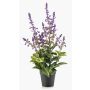 Planta artificial salvia SWORTA en maceta decorativa, flores, lavanda, 45 cm