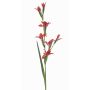 Flor artificial gladiolo GROWEL, coral, 105 cm