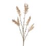 Rama decorativa de paja china BLAVEN con panículas, marrón-beige, 70 cm