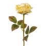 Flor artificial rosa DRINT, verde-crema, 60cm, Ø10,5cm