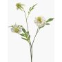 Rama artificial de scabiosa RUXTER, blanca, 60 cm