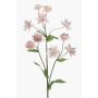 Rama decorativa Sterndolde JAXRON, rosa claro, 70 cm