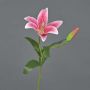 Flor artificial lirio tigre MIXLON, rosa, 55 cm