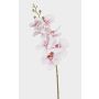 Rama de orquídea Phalaenopsis artificial AXELOR, blanca-rosa, 85 cm