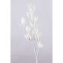 Rama de sedum artificial MOMOKA, blanco, 105cm