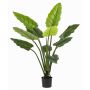 Planta artificial Calathea Rufibarba NUSAKAN, verde, 120 cm