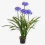 Planta artificial grande agapanto LESEDA en maceta decorativa, azul, 105 cm