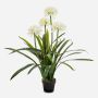 Planta artificial grande agapanto LESEDA en maceta decorativa, blanca, 105 cm