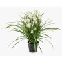 Flor artificial orquídea cymbidium JANILA en maceta decorativa, blanca, 85 cm
