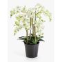 Flor artificial Phalaenopsis FINEA en maceta decorativa, crema, 85 cm