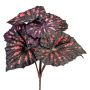 Planta artificial Begonia de hoja MELDINA, varilla, negro-rojo, 25 cm