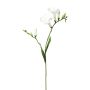 Rama decorativa de fresia FONDYL, blanca, 70 cm
