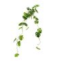 Planta colgante artificial Philodendron monstera deliciosa GRINTO con varilla, 80 cm