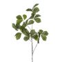 Rama decorativa de castaño SNELOR, verde, 120 cm