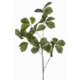 Rama decorativa de castaño SNELOR, verde, 120 cm