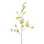 Rama decorativa de clemátide LENOMA, amarilla, 115 cm