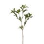 Rama decorativa de laurel ITRELK, verde, 90 cm