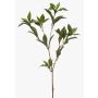Rama decorativa de laurel ITRELK, verde, 90 cm
