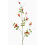 Rama decorativa de clemátide LENOMA, naranja, 115 cm