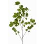 Rama decorativa de schefflera KRUVEN, verde, 120 cm