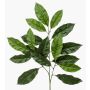 Rama decorativa de nogal BANIESA, difícilmente inflamable, verde, 70 cm