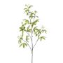 Rama decorativa de aralia MOLFER, verde, 115 cm