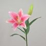 Flor del lazo atigrada artificial FILICE, rosa, 50cm, Ø17cm