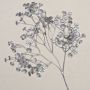 Gypsophila artificial MARLIESE, plata, 65cm, Ø1-1,5cm